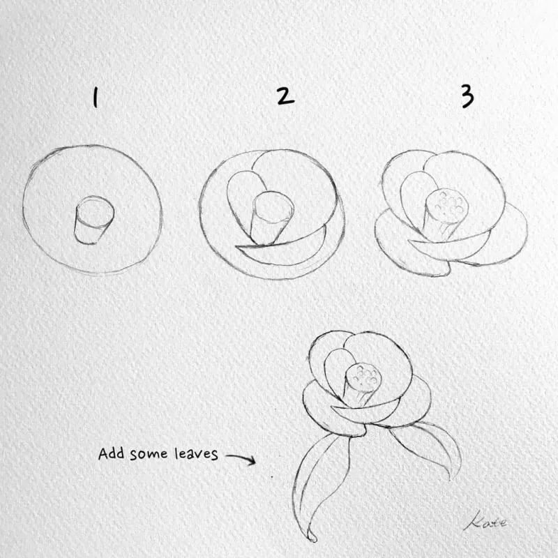 Step by step Flower Drawing